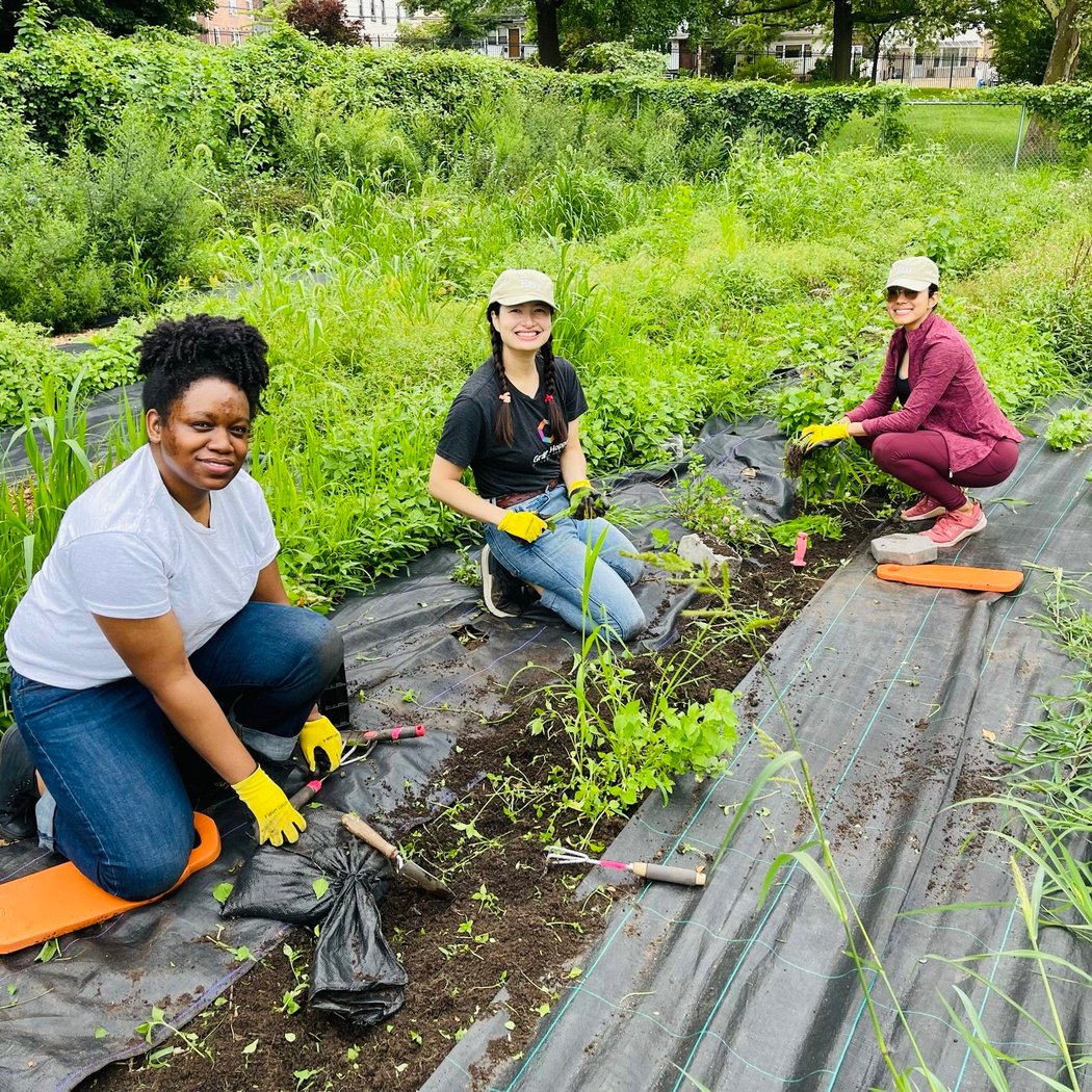 Growing Food Growing People Garden Day and Clean-up 3